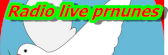 309 https://keepone.net/radio/k144312/radio-live-prnunes