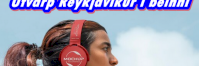 315 https://keepone.net/radio/k144318/tvarp-reykjav-kur-beinni